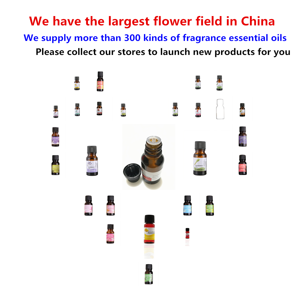 Tulips Pure Essential Oils 10ML 12 Smells Gift Set Humidifier Aromatherapy Crown of Thorns Sunflower Peony Essential Oil 1Pcs