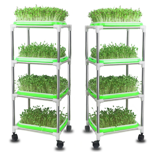 Green Seedling Frame With Seedling Trays To Plant Manufacturers and Green Seedling Frame With Seedling Trays To Plant Suppliers