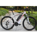 Electric Mountain Bike 500W 29'' Electric Bicycle with Removable 48V 13Ah Battery 21 Speed Shifter Ebike