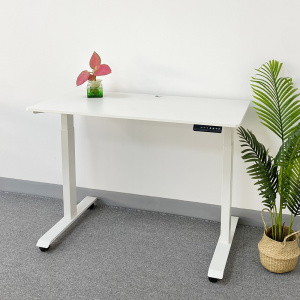 Electric Height Adjustable Standing Desk Stand Up Desks