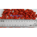 2017 New Crop Dried Goji Berry 380 Count