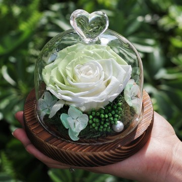 NEW Forever Rose Flower Fresh Festive Preserved Immortal in Glass Creative Gift card holder flores wedding dried