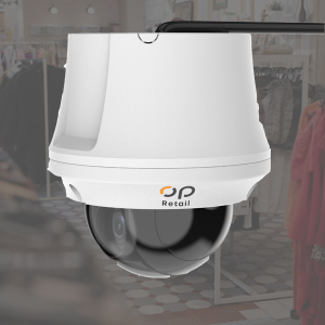 Remote Online Store Inspection