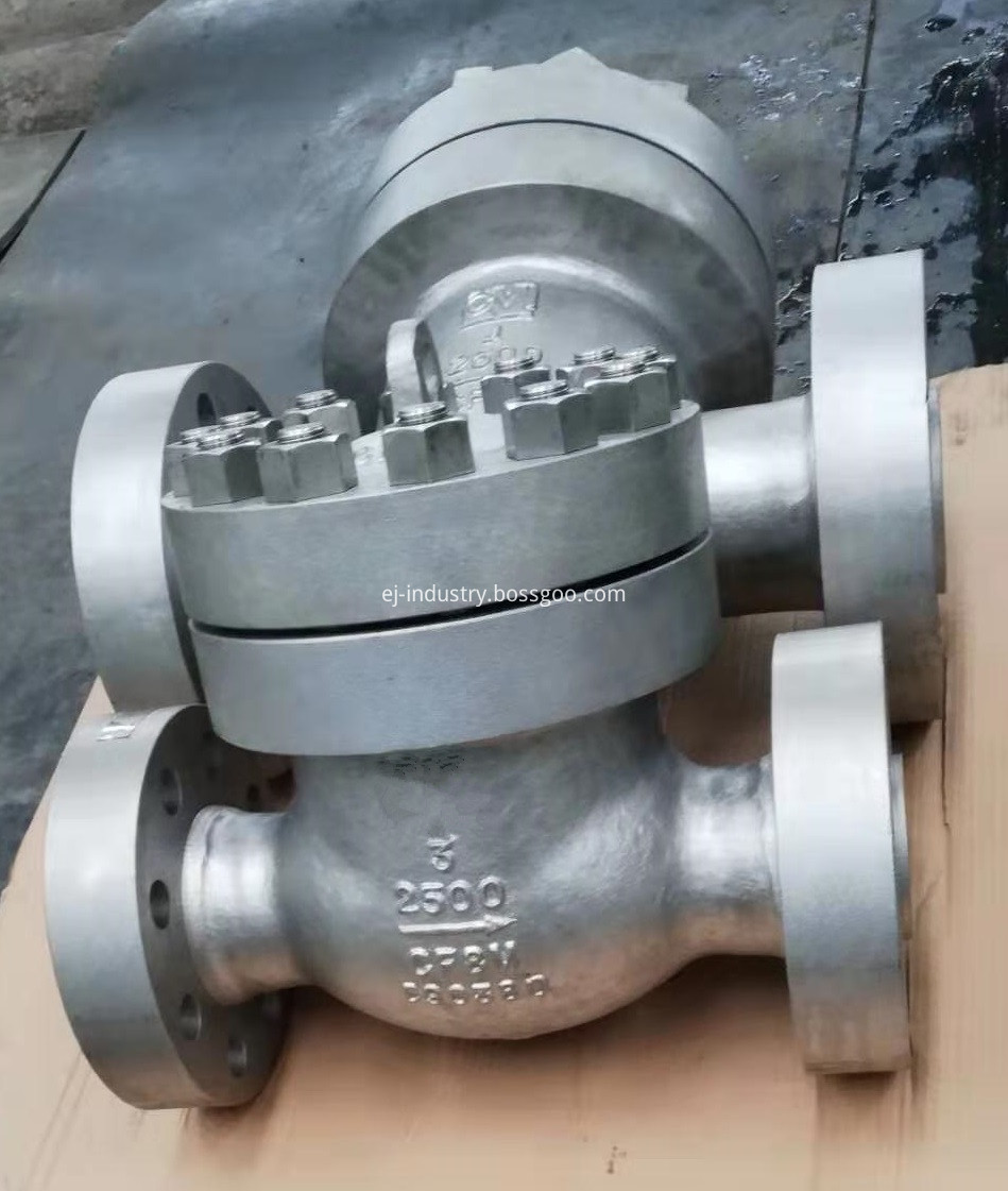 Ss Check Valve1
