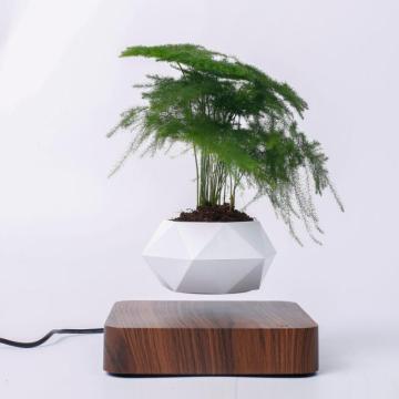 Floating Geometric Bonsai Pot Rotation Planters Magnetic Levitation Flower Pot Home Office Desk Decor Creative Birthday Gift