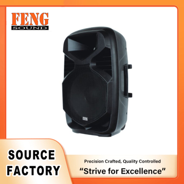 Portable PA Speaker with Guitar Input and Echo