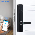TTlock APP Biometric Fingerprint Door Lock Keyless Smart Lock WiFi Bluetooth Fingerprint Lock Electronic Home Lock Dual Battery