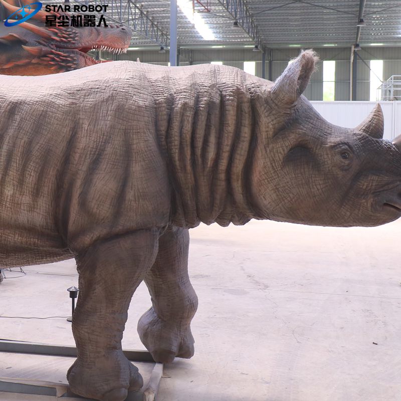 Animal Rhinoceros