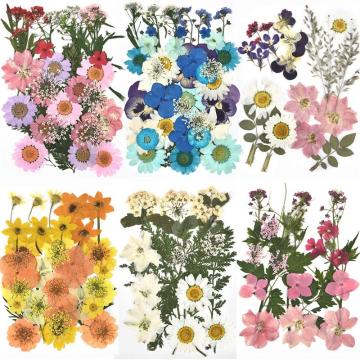 1 Pack Dried Flowers UV Resin Natural Flower Stickers Dry Beauty Decal For DIY Epoxy Resin Filling Jewelry Decoration 2020 New
