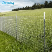 Steel Studded Agricultural Metal Y Fence Post