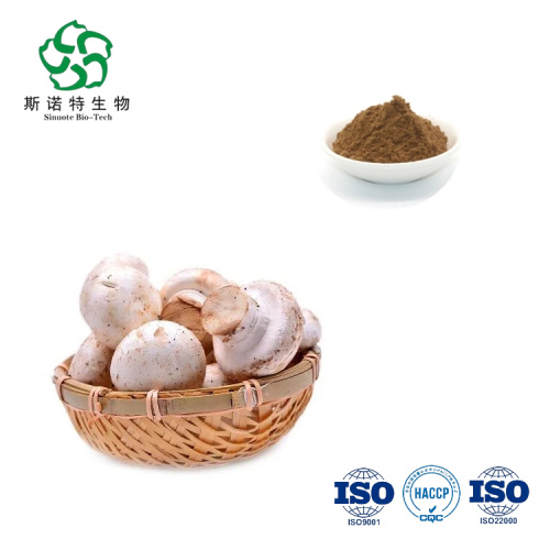 White Button Mushroom Extract Agaricus Bisporus powder for Sale, Offer White Button Mushroom Extract Agaricus Bisporus powder