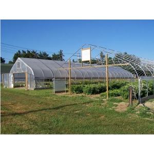 Best-selling Plastic Film Greenhouse for Flowers Agriculture