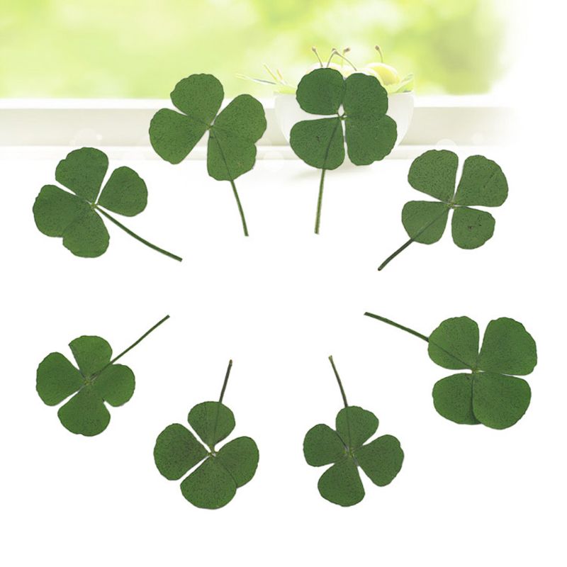 10Pcs Dried Leaf Clover UV Resin Decor Nail Art Epoxy Mold DIY Filling Jewelry