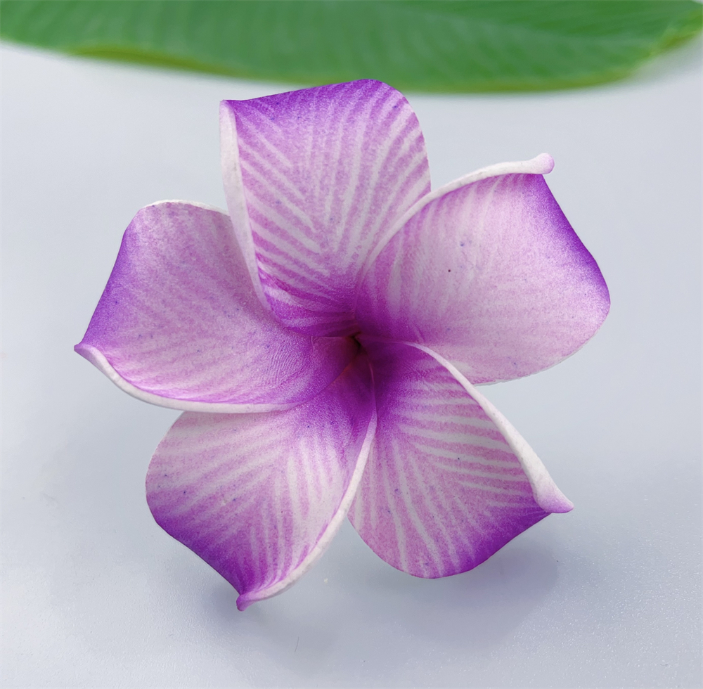 Kn Hf019 Plumeria Hair Pick