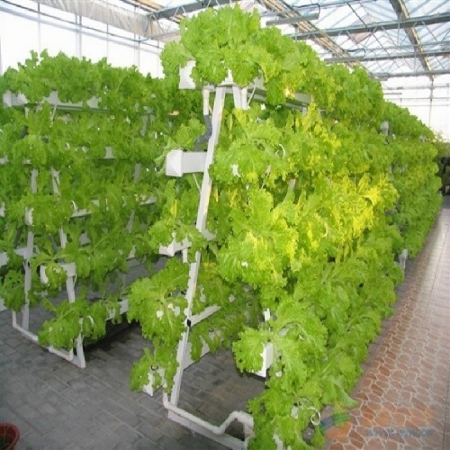 Commercial Hydroponic System NFT Channel System Manufacturers and Commercial Hydroponic System NFT Channel System Suppliers