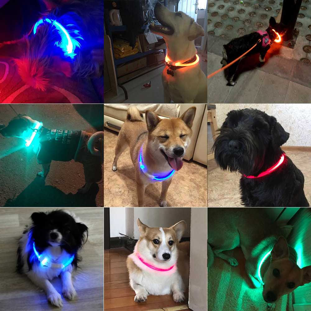 USB Charging LED Dog Collar Glowing Light Cuttable Collar For Dogs Cats Puppies Cool Dog Supplies Cat Supplies Products For Dogs
