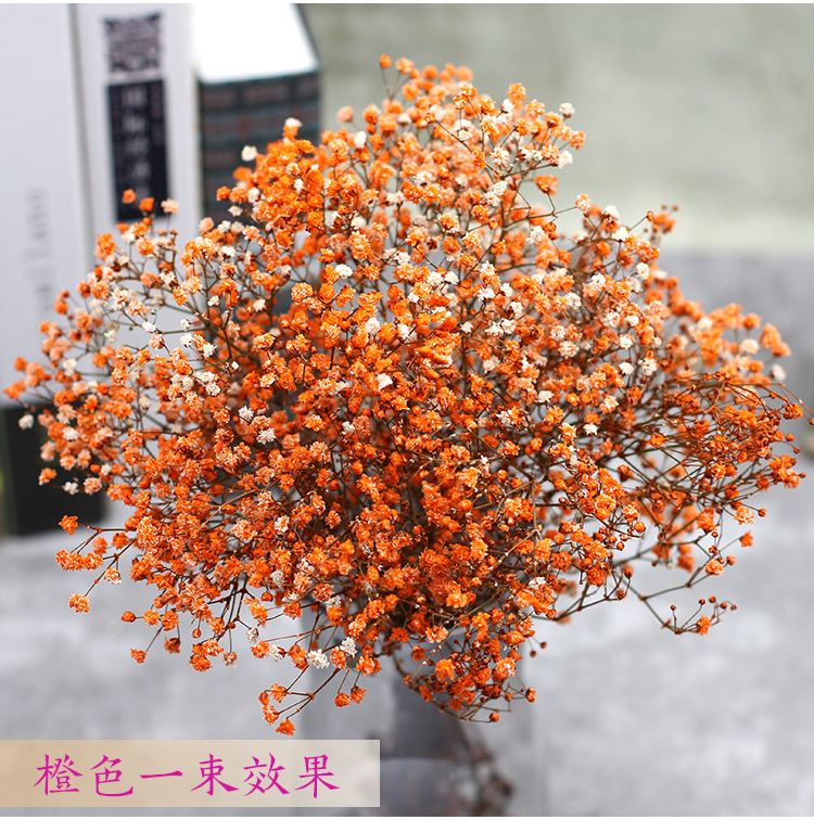 Natural Fresh Dried Preserved Flowers Gypsophila paniculata,Baby's Breath Flower bouquets gift for Wedding Decoration,Home Decor