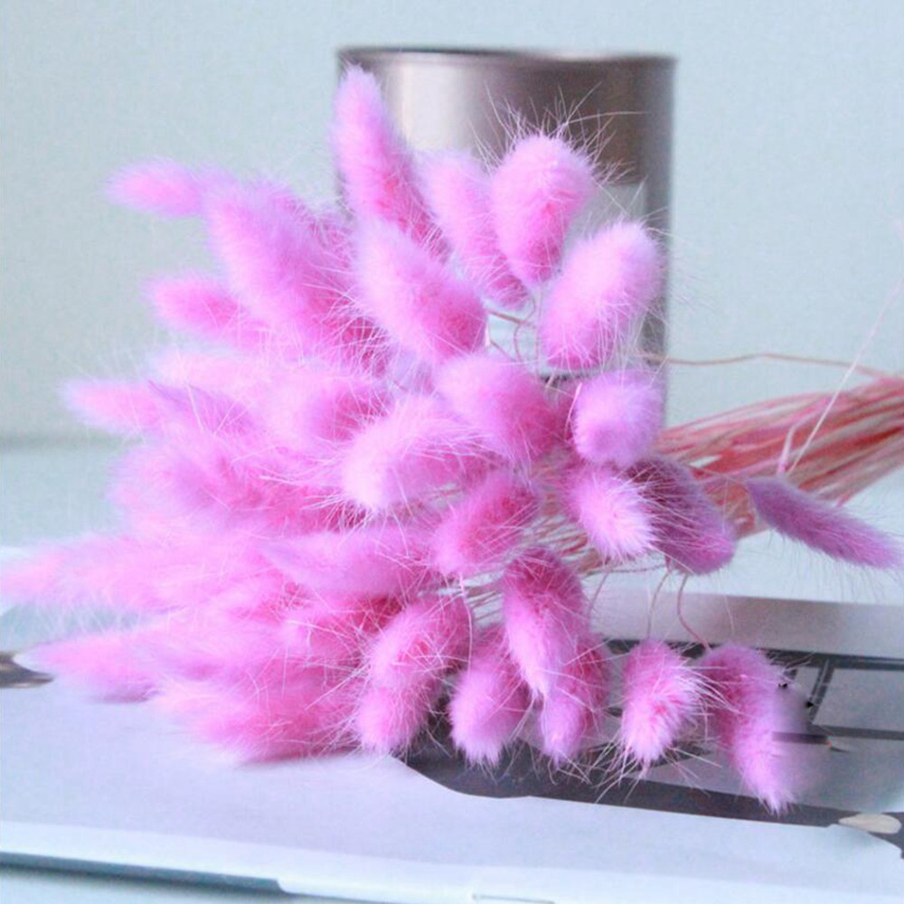 30Pcs/lot Natural Dried Flowers Rabbit Tail Grass Bunch Colorful Lagurus Ovatus Real Flower Bouquet for Home Wedding Decoration