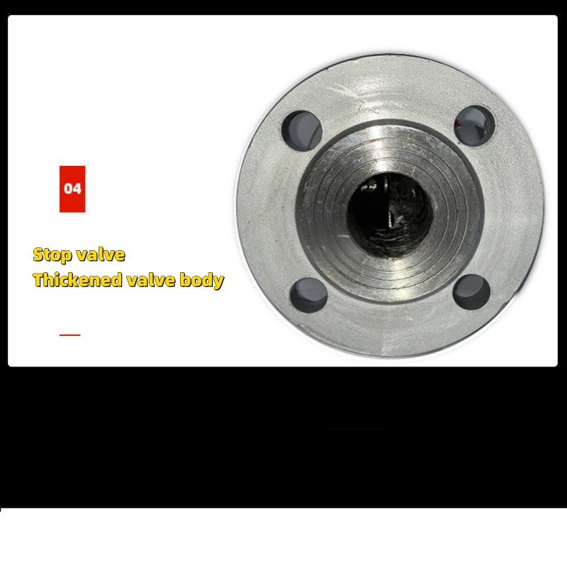 Cast steel gate valve (1)