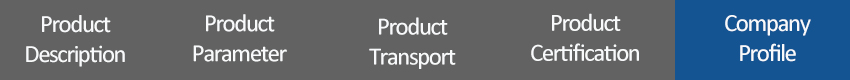 Company Profile
