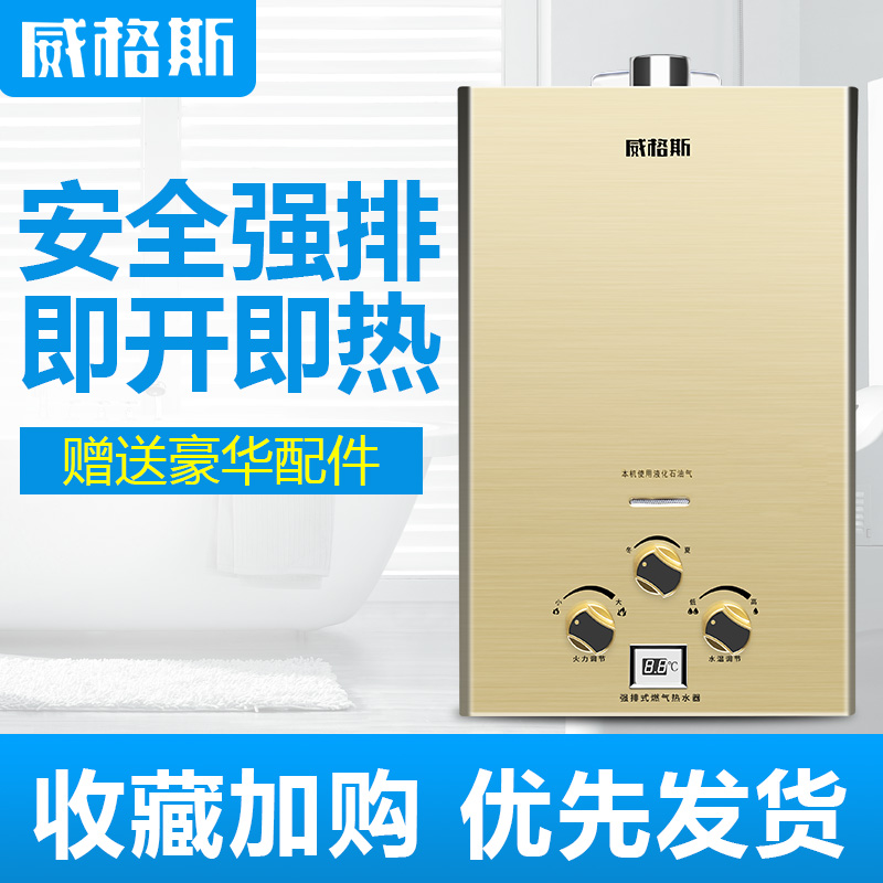 Home 6L 8L Flue Gas Water Heater Strong Emission Type Speed Low Water Pressure Liquefied Gas Natural Gas Water Heating Machine