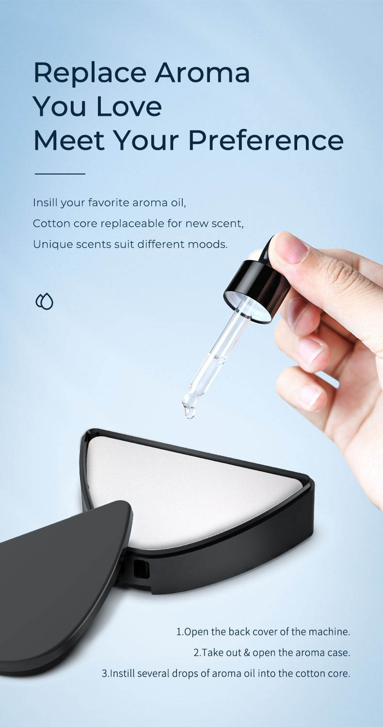 Car Freshener Diffuser