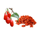 Certified Organic AD Drying Wolfberry Fruit Medlar Goji