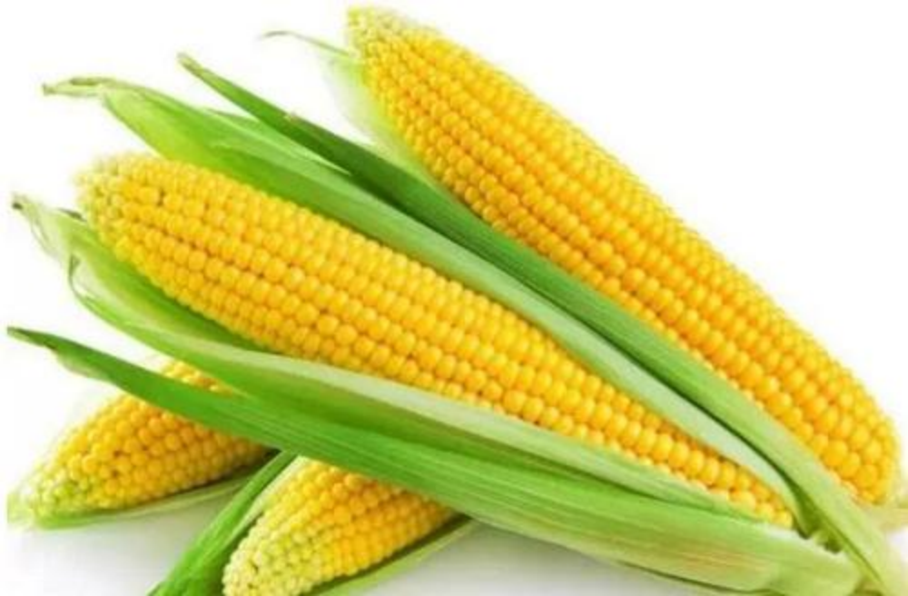 corn