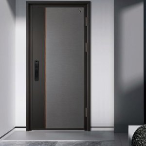 Cheap antique ss bulletproof security door used screen