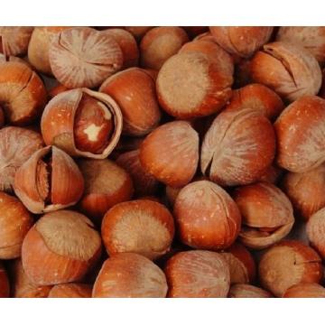 Delicious Wild Natural Flavor Hazelnuts