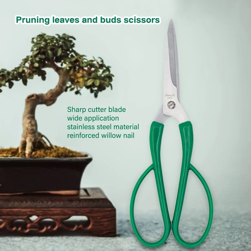 bb9060517497b0bc9ba500f994967b3