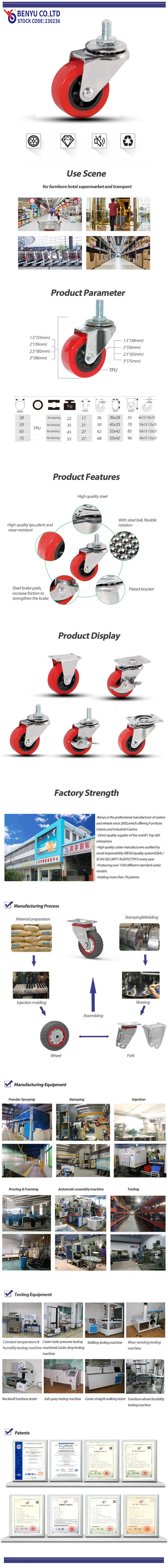 Swivel Caster