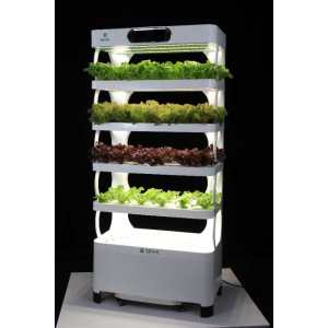 vertical farming home hydroponic growing planter