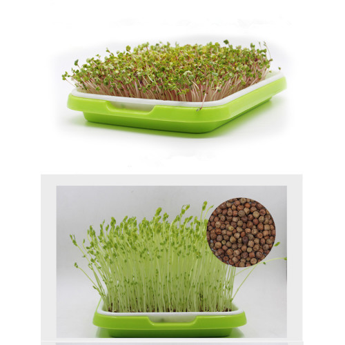 seedling tray for hydroponic vegetable Manufacturers and seedling tray for hydroponic vegetable Suppliers