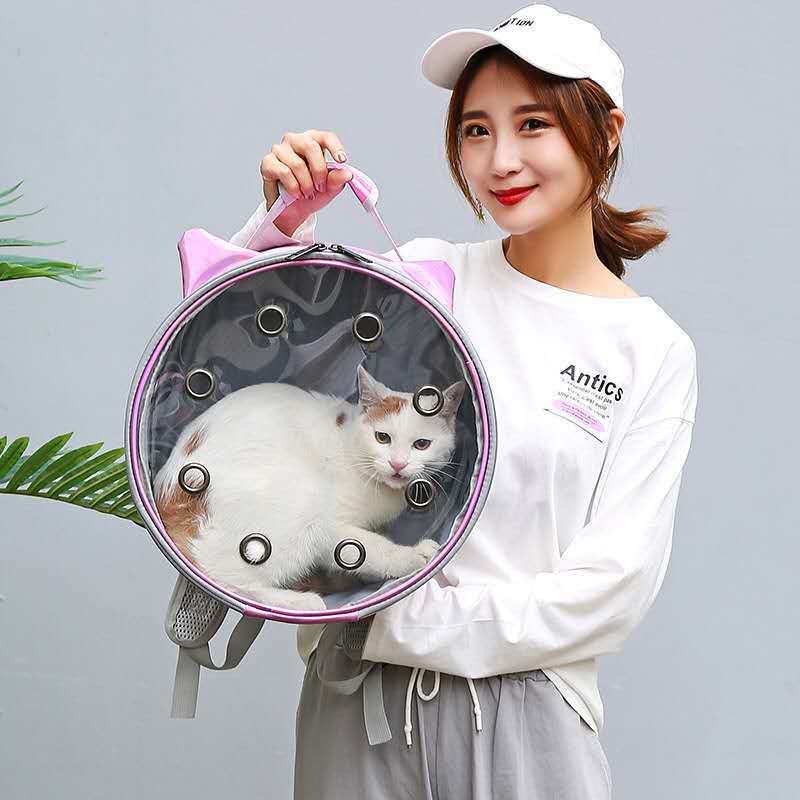 Pet Carrier Grey