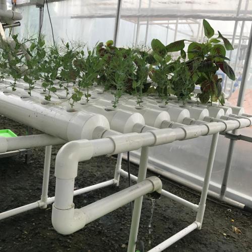 Garden Grow Kit Table Indoor Grow hydroponic system Manufacturers and Garden Grow Kit Table Indoor Grow hydroponic system Suppliers