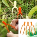 100pc Useful Garden tools Plastic Quality Plant Clips Stolons fixing fastening Fixture clamp strawberry fork Farming Clip 1