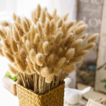 30pcs Lago-tail grass Dried Flowers Bouquet Eternal Natural Plants Preserve Floral for Wedding Home DIY Decor