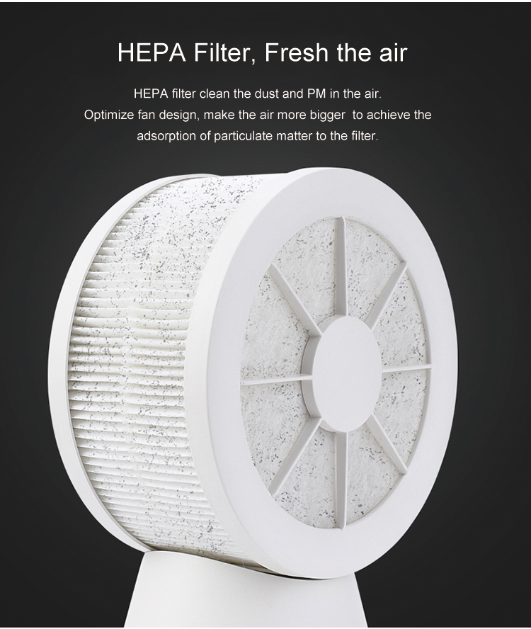 Portable air purifier cooling fan