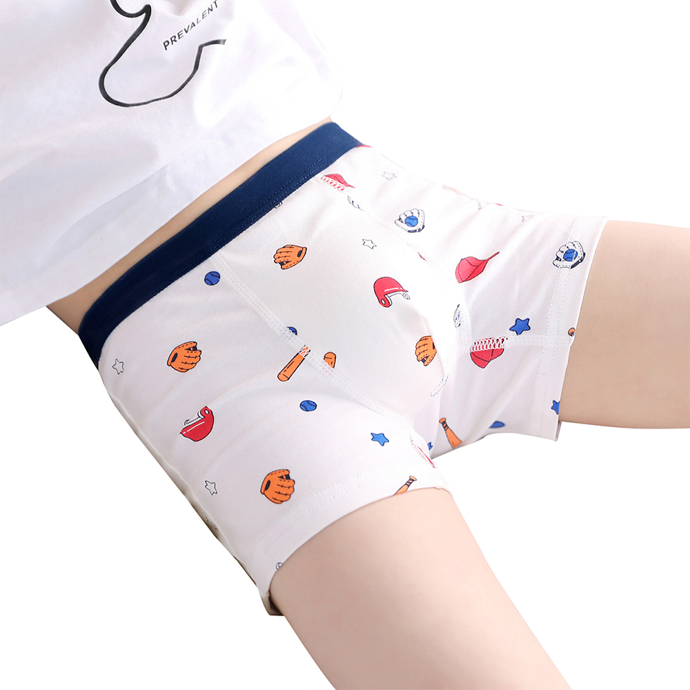 2-4 Pack Children Underwear Boys Panties Cotton Boxer Children Briefs For Boy Shorts Baby Panties Kids Underwear