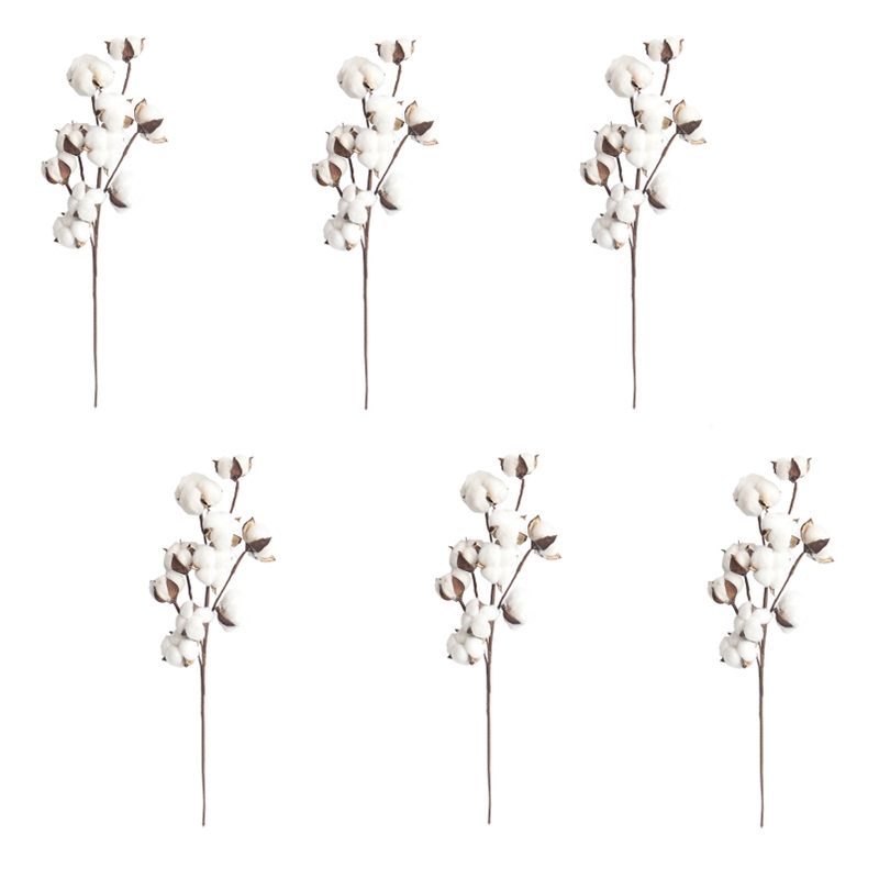 6 Pcs 10 Heads Dried Cotton Stems Home Decor Natural Dry Cotton Artificial Plant Flower Long Branch Wedding Party Decor