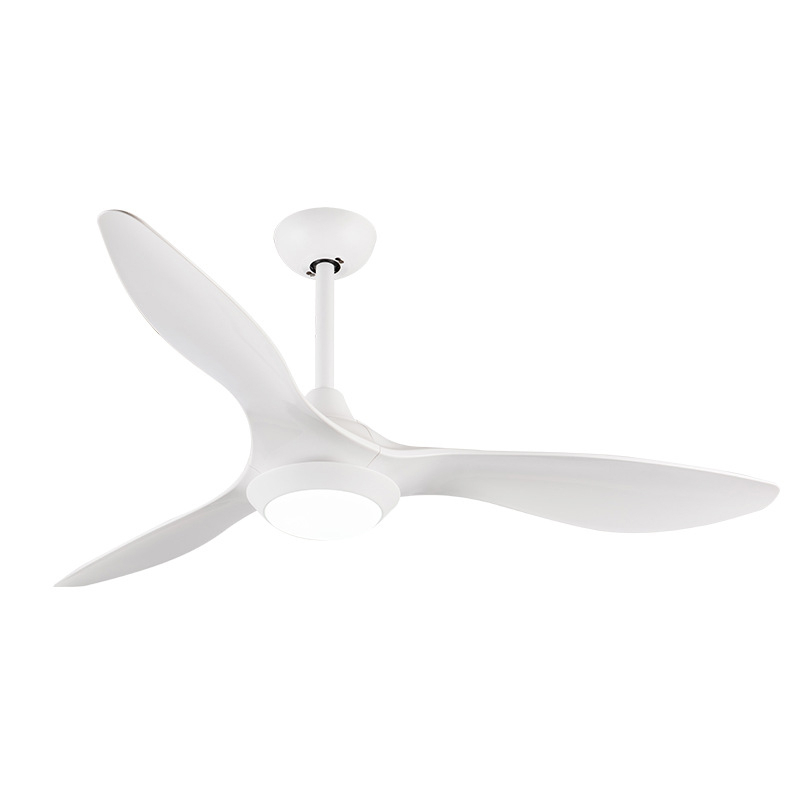 52 Inch modern plastic blade remote control frequency conversion ceiling fan lamp 100-240V motor bedroom with LED fans lights