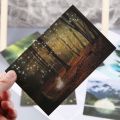 30pcs Vintage Luminous Postcard Glow In The Dark Forest Streamer Animal Greeting Post Card Novelty Xmas Greeting Cards Gift