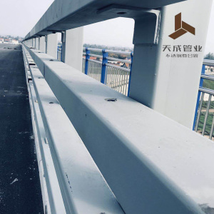 Long-Lasting Stainless Steel Guardrail for Footbridge Use