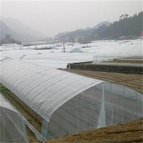 Agriculture Single Tunnel Plastic Film Greenhouse Manufacturers and Agriculture Single Tunnel Plastic Film Greenhouse Suppliers