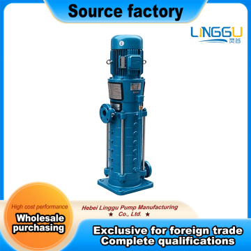 Stainless Steel CDL Pump for Demanding Process Environments