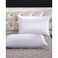 100% Pure Natural Mulberry Silk Pillowcase 25 Momme Terse Luxury Pillow case Cover with Hidden Zipper for Hair & Skin