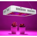 Growing Lamps LED Grow Light Waterproof AC100-265V