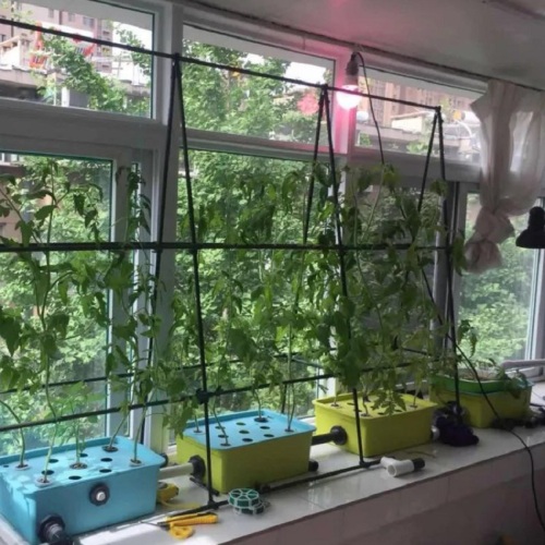 Home Hydroponic System For Growing Strawberry Manufacturers and Home Hydroponic System For Growing Strawberry Suppliers