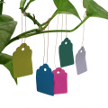 100 Pcs/set Reusable Gardening Labels Signs Waterproof Strip Line Plastic Plant Hanging Tags Garden Products Supplies 5 Colors